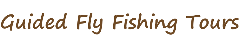 Guided Fly Fishing Tours