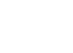 PARTNERSHIP