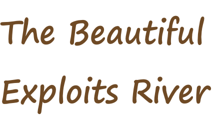The Beautiful Exploits River