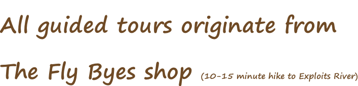 All guided tours originate from The Fly Byes shop (10-15 minute hike to Exploits River)